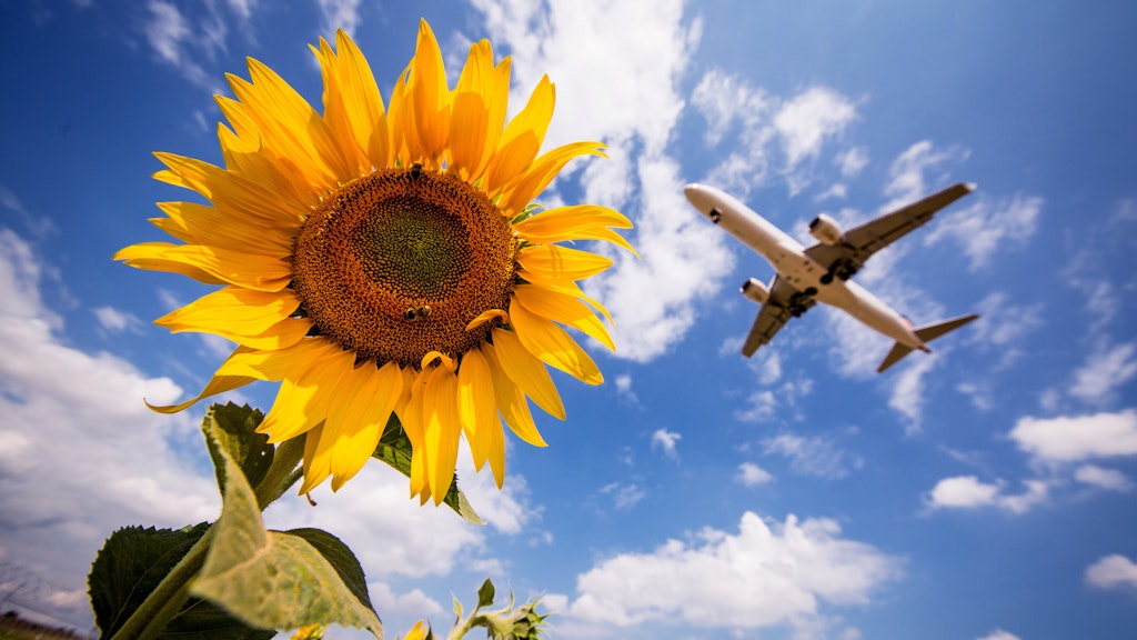 Fliegen zählt zu den klimaschädlichsten Transportmöglichkeiten. 