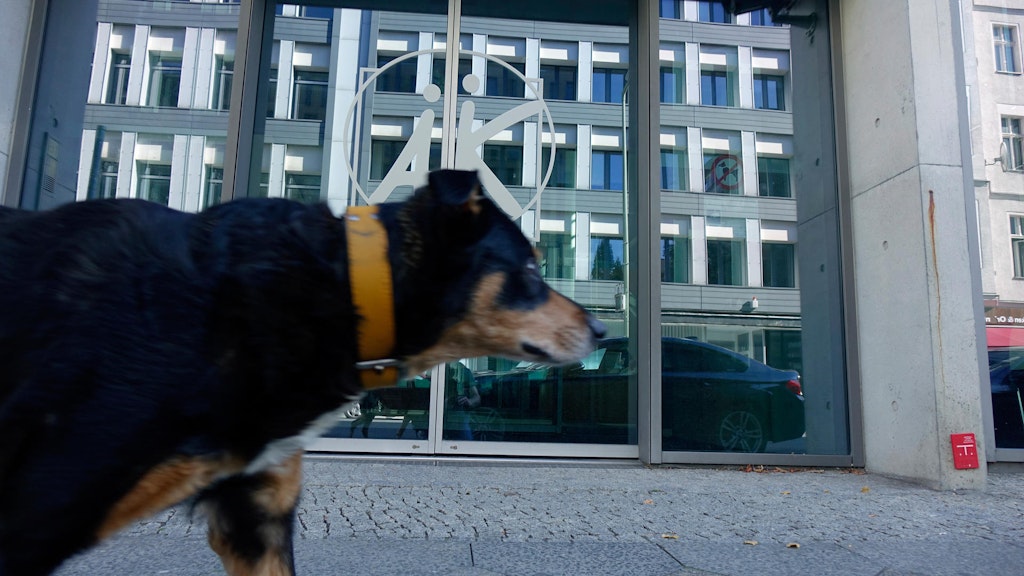 Ein Hund läuft an der Ärztekammer in Berlin vorbei. In der Hauptstadt haben es die Vierbeiner nicht leicht, meint Torsten Harmsen.