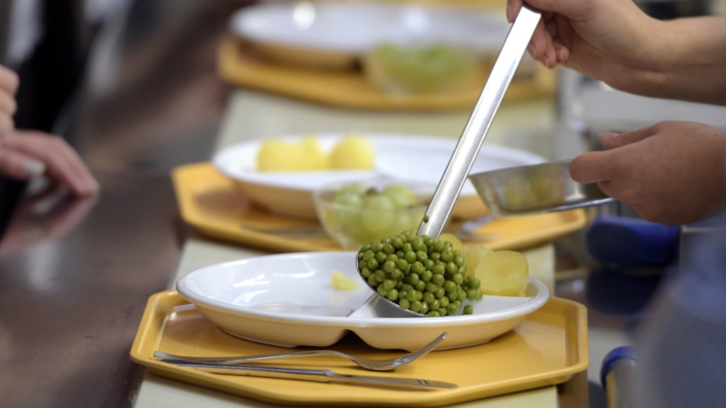 Derzeit sind Caterer verpflichtet, 15 Prozent Bio-Lebensmittel für das Schulessen zu verwenden. 