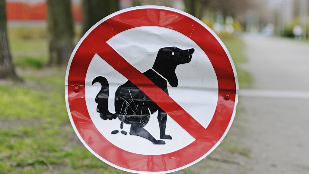 Kein Hundeklo: Auch ohne Schild kostet Liegenlassen von Hundekot Bußgeld.