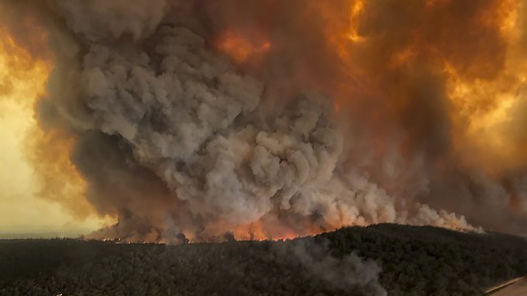 Dichte Rauchwolken steigen über einem Wald auf, in dem ein Wildfeuer wütet.