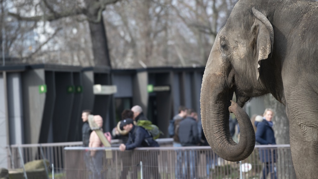 Der Berliner Zoo darf laut Senat offen bleiben.