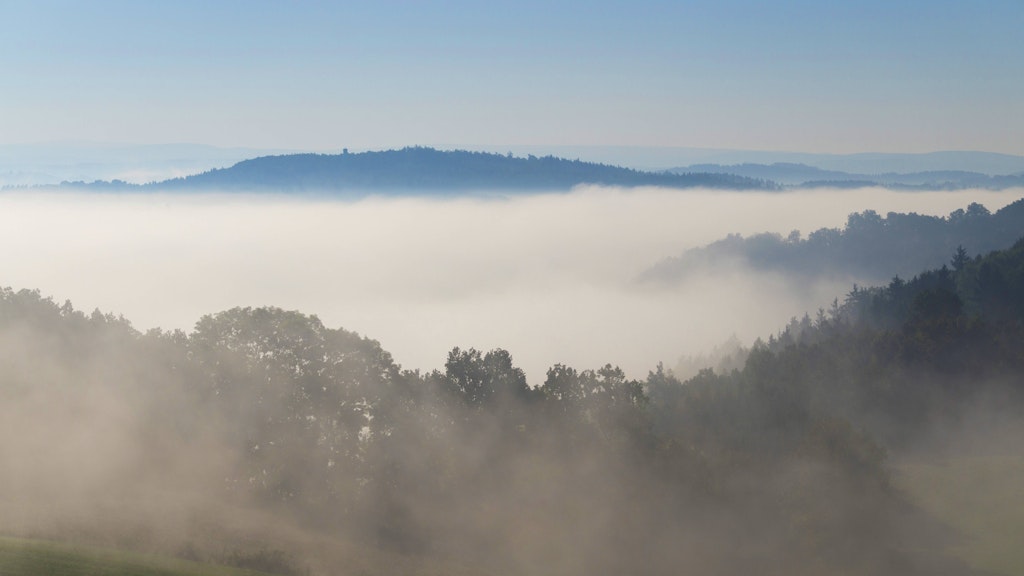 Morgennebel