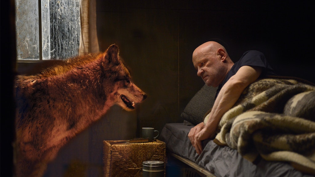 Kommissar Krüger (Christian Redl) und der Wolf in einer Szene des „Spreewaldkrimi - Zeit der Wölfe“.