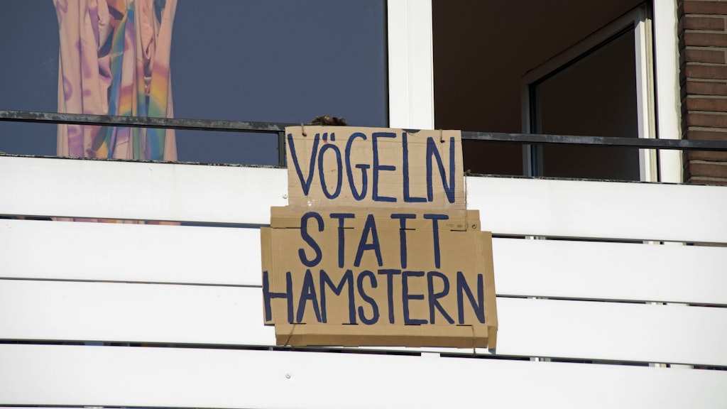 Jede fünfte Person in gemeinsamer Quarantäne hat angeblich zurzeit mehr Sex.