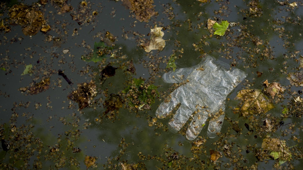 In Werder wurde eine Frau in einem Gartenteich getötet. (Symbolbild)