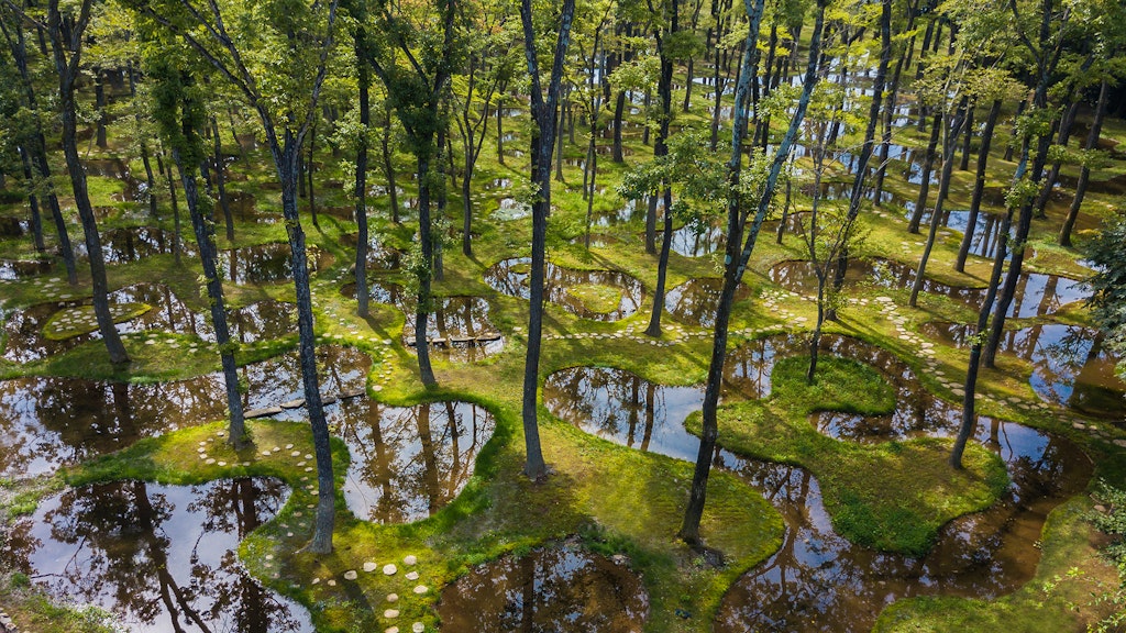 Als wär's ein Gemälde von Peter Doig: der „Water Garden“ nördlich von Tokio.