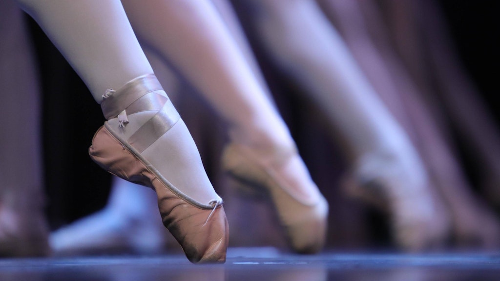 Die Staatliche Ballettschule ist massiv in die Kritik geraten.