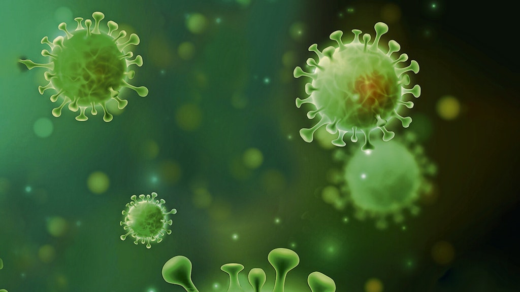 Das Coronavirus grassiert derzeit.