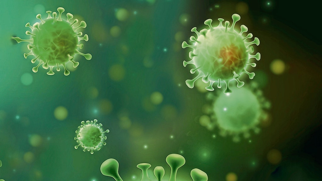 Das Coronavirus.