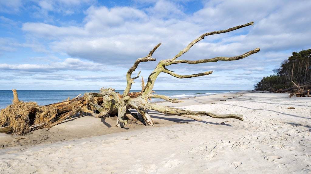 Strand an der Ostsee in Mecklenburg-Vorpommern