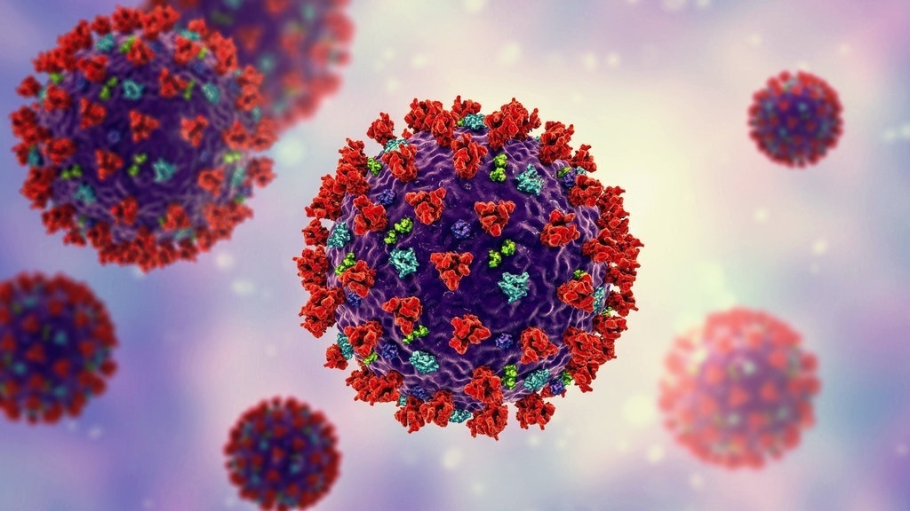 Das Coronavirus.