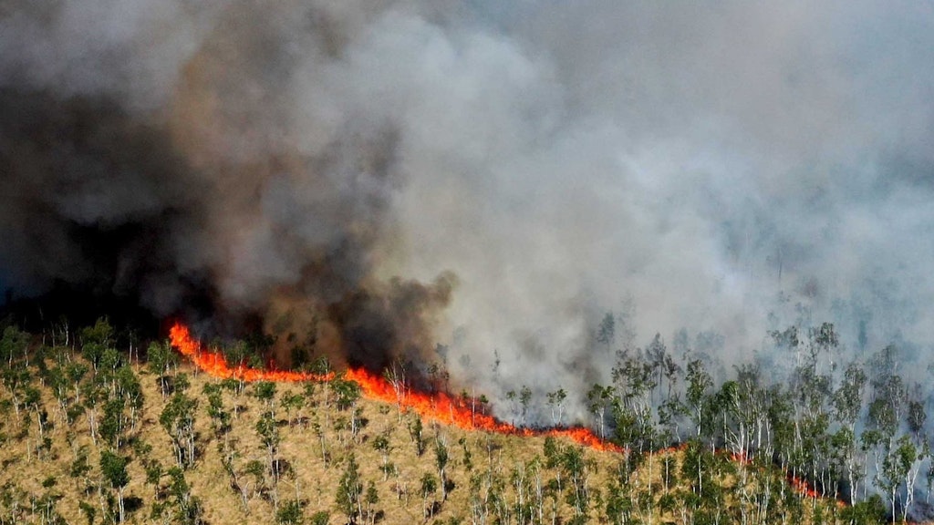 Blick auf eine Rauchwolke während eines Waldbrandes im Loben-Moor.