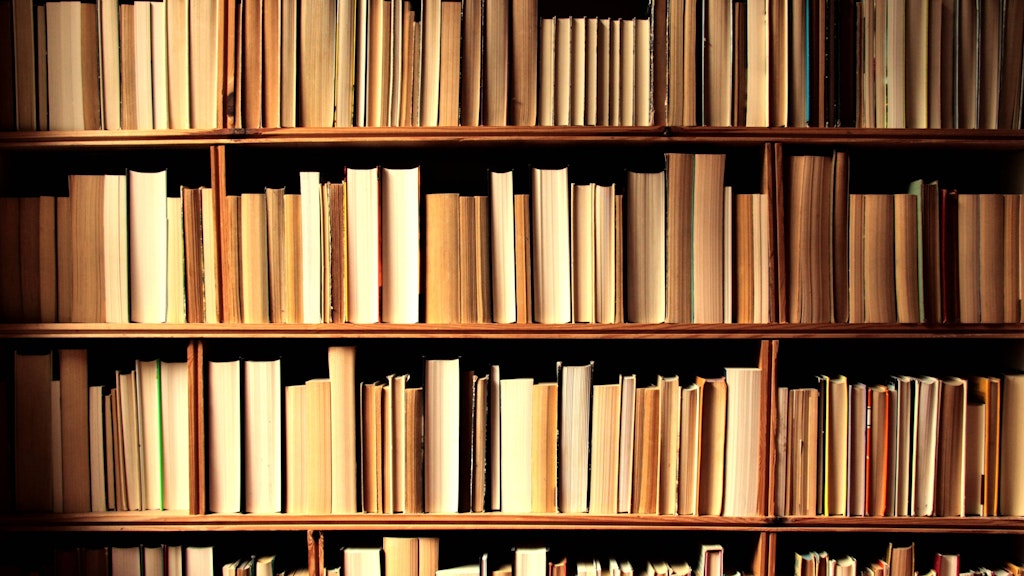 Im Bücherregal gibt es viele Verstecke.