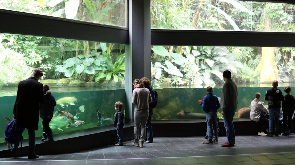 Menschen betrachten Fische in einem Paludarium im Berliner Aquarium. 