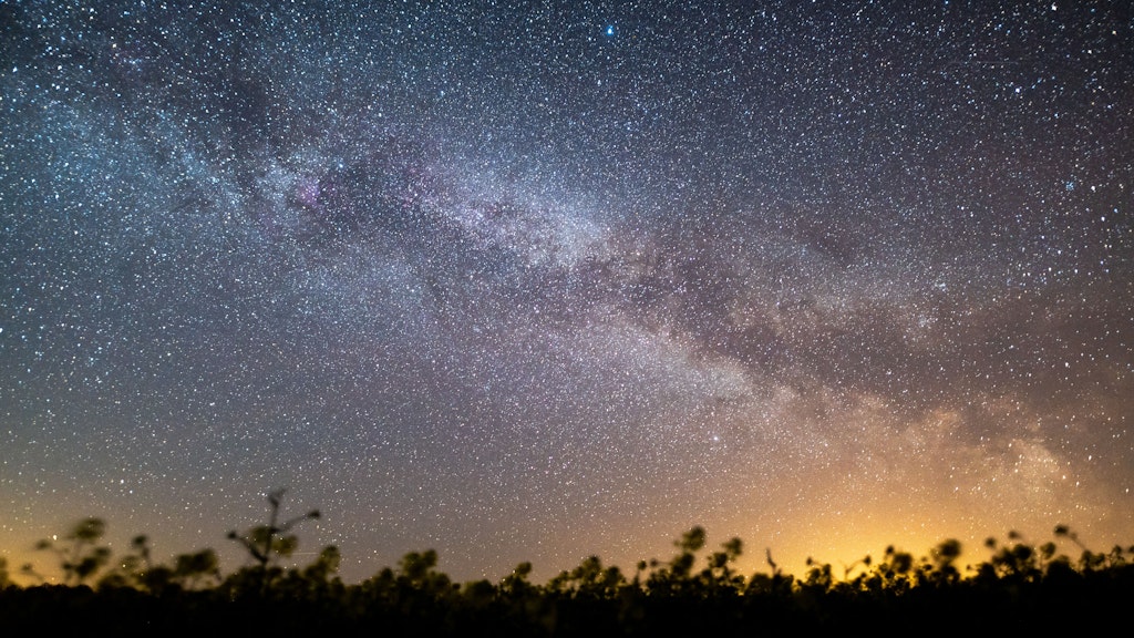 Der Sternenhimmel leuchtet über einem Rapsfeld.