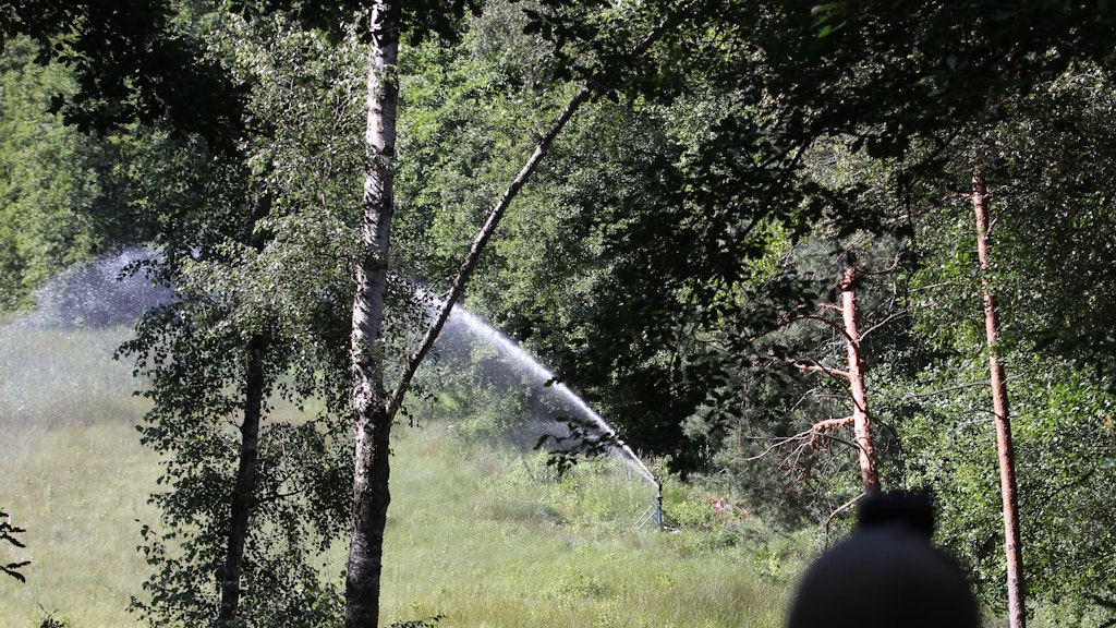 Ein Wassersprenger am Waldrand schießt das künstlich erzeugte Regenwasser aufs Moor des einstigen Barssees.