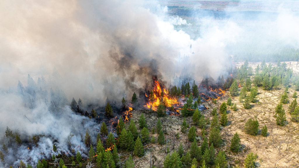 In Sibirien lodern seit Monaten immer wieder Waldbrände.