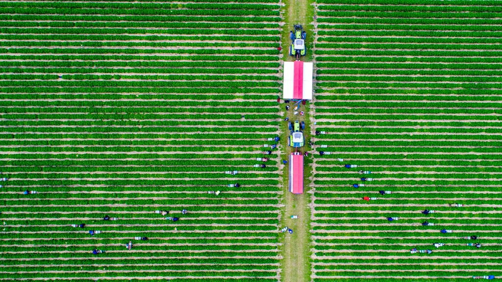 Wer kann wann welchem Landwirt helfen? Angebot und Nachfrage sollen in Zukunft digital gesteuert werden. Das hat die Initiative Erntehelfer vor.