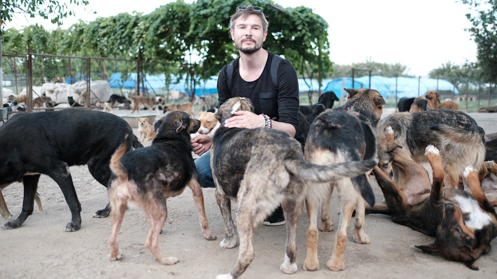 Szene ausCody - Wie ein Hund die Welt verändert.<br>