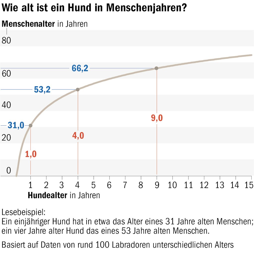 Berliner Verlag