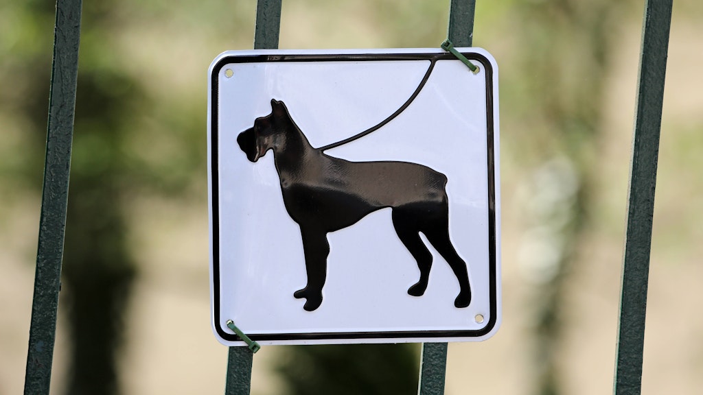 Für Hundehalter gibt es spezielle Haftpflichtversicherungen.