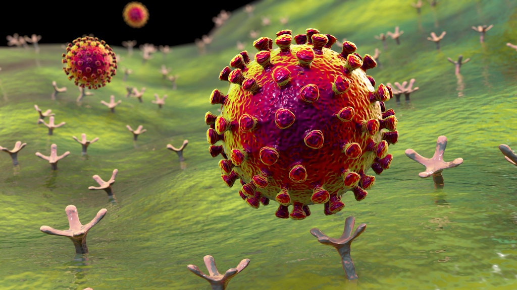 Das Coronavirus.