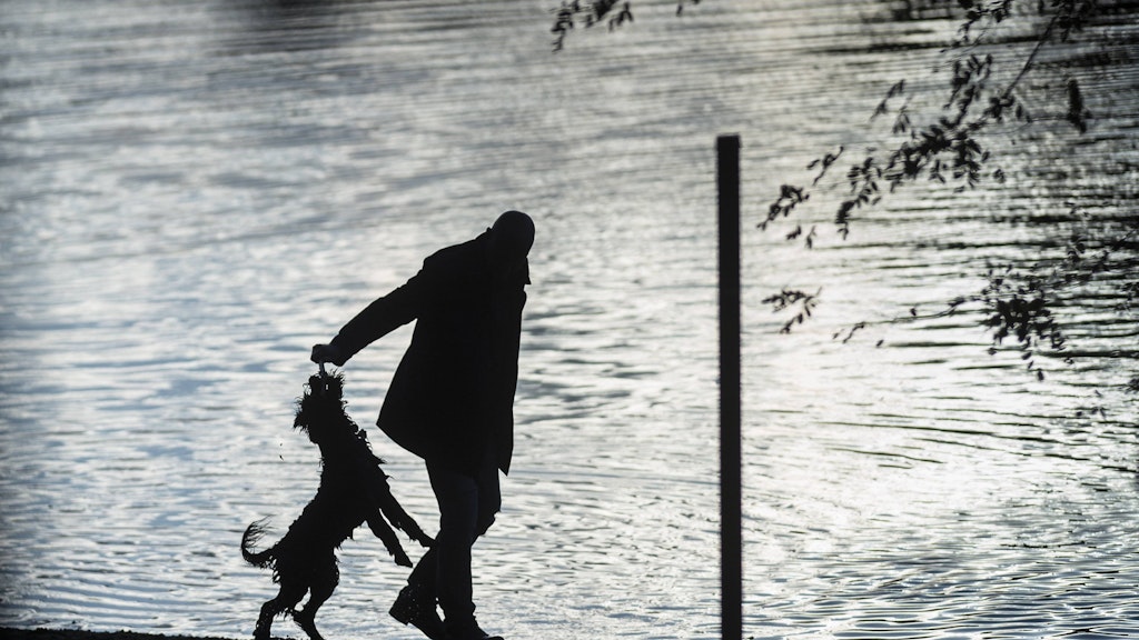 Die Zeit vergeht unterschiedlich schnell, je nachdem, was man gerade tut. Mit dem Hund am See rast sie nur so dahin. 
