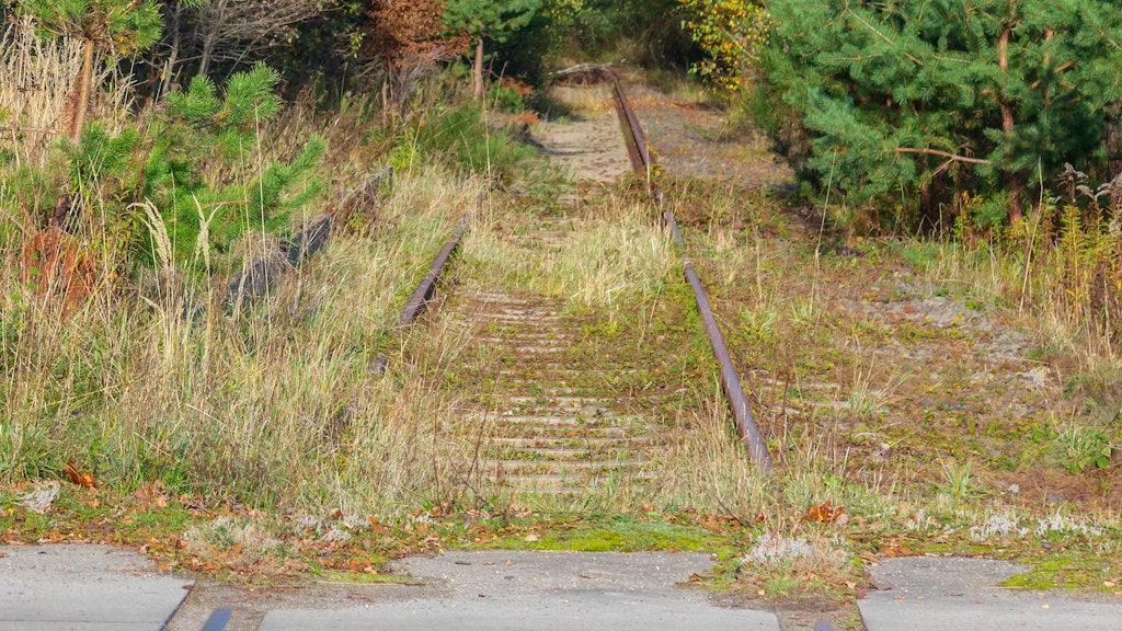 Überwucherte Bahngleise (Symbolbild).