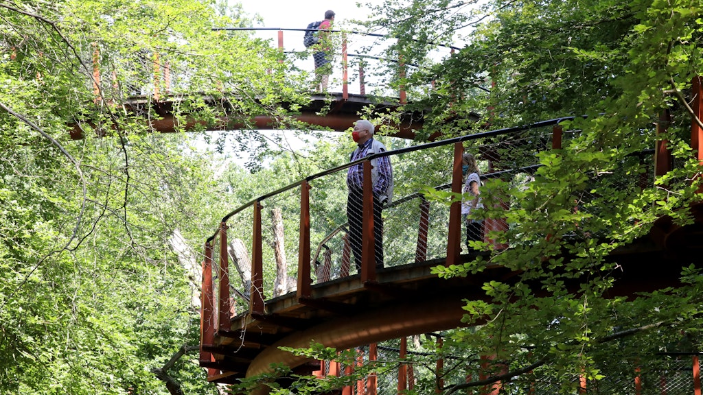 Besucher sind im Tierpark Ivenack im Baumkronenpfad unterwegs.
