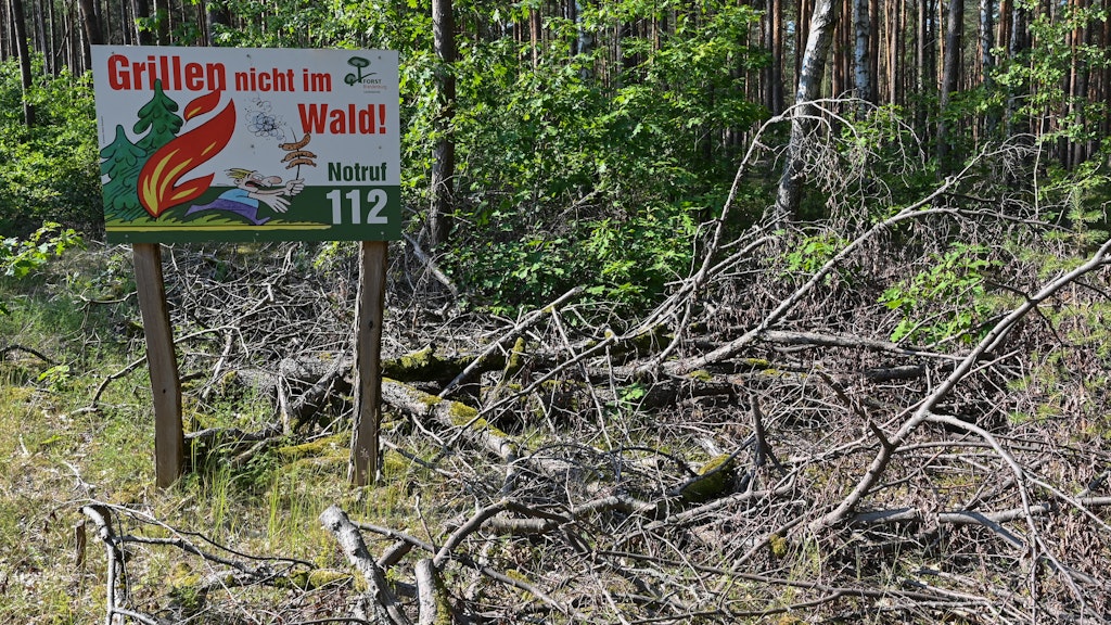 In Brandenburg ist die Waldbrandgefahr derzeit hoch.