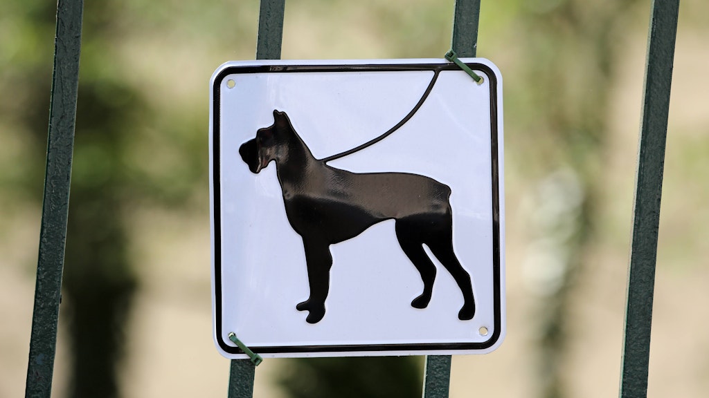 Ein Streit um die Leinenpflicht für Hunde hat zu einer Auseinandersetzung mit einem Schwerverletzten geführt. Der Mann liegt nun im künstlichen Koma.