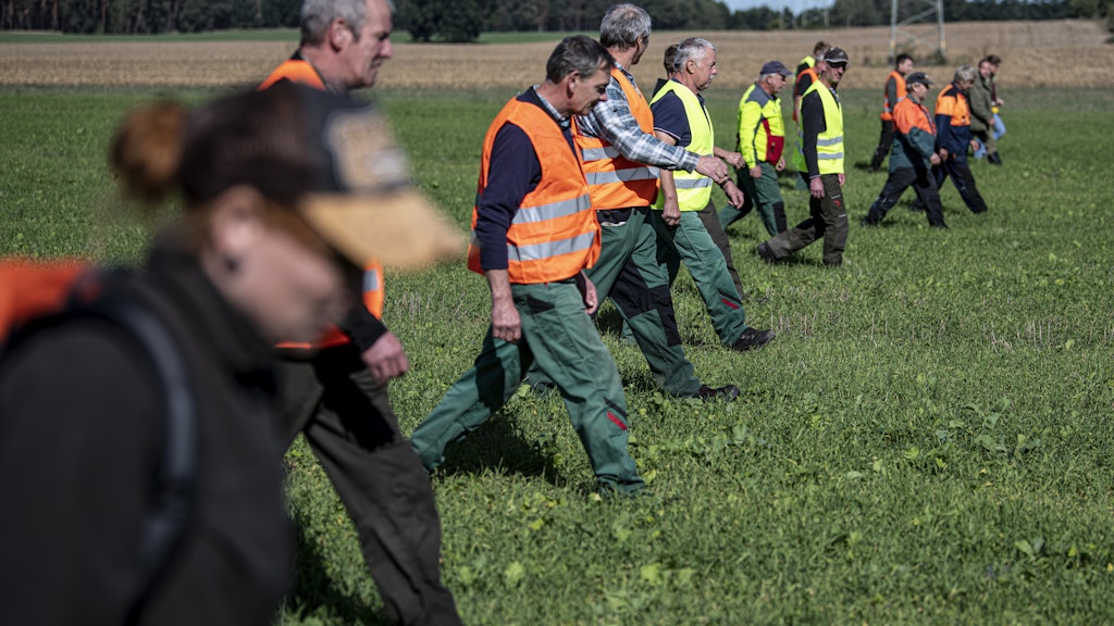 Auch der Suche: Mitarbeiter der Forstwirtschaft und Jäger suchen nach toten Wildschweinen in der Nähe von Schenkendöbern. Dort wurde das erste Wildschwein gefunden, das an der Afrikanischen Schweinepest gestorben ist.