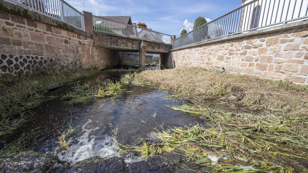 Kein Sommer-Kroko in Sicht: Das Flüsschen Bleiche fließt durch die Ortsmitte von Bergheim bei Ortenberg in der Wetterau.