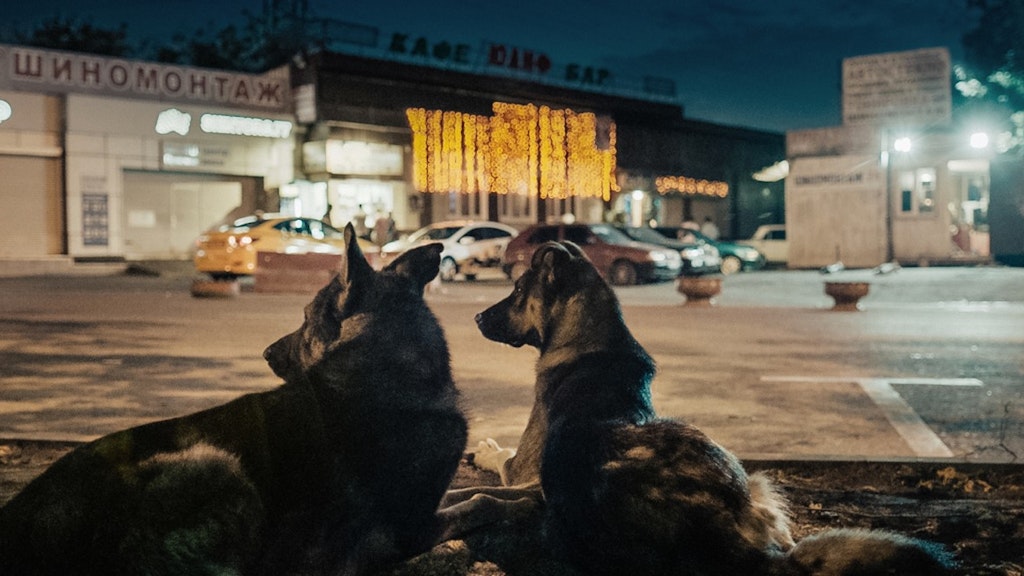 Szene aus dem Film „Space Dogs“<br>