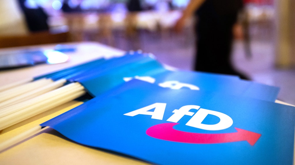 Die AfD stellt die stärkste Fraktion im Geraer Stadtrat (Symbolbild).