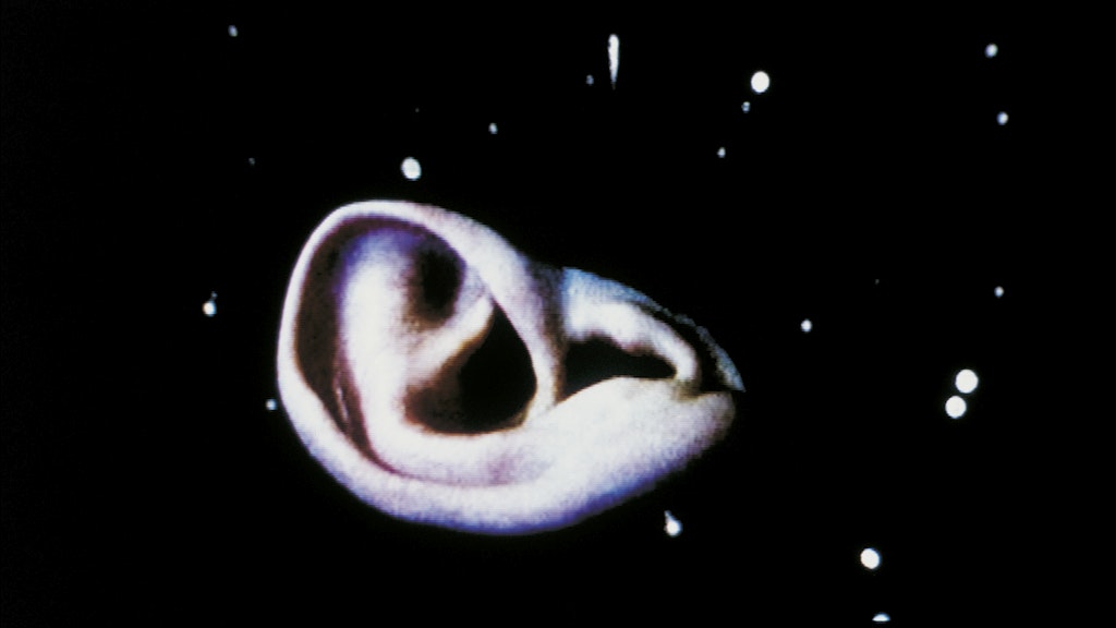 Pipilotti Rist: „Extremitäten (weich, weich)“ , 1999.