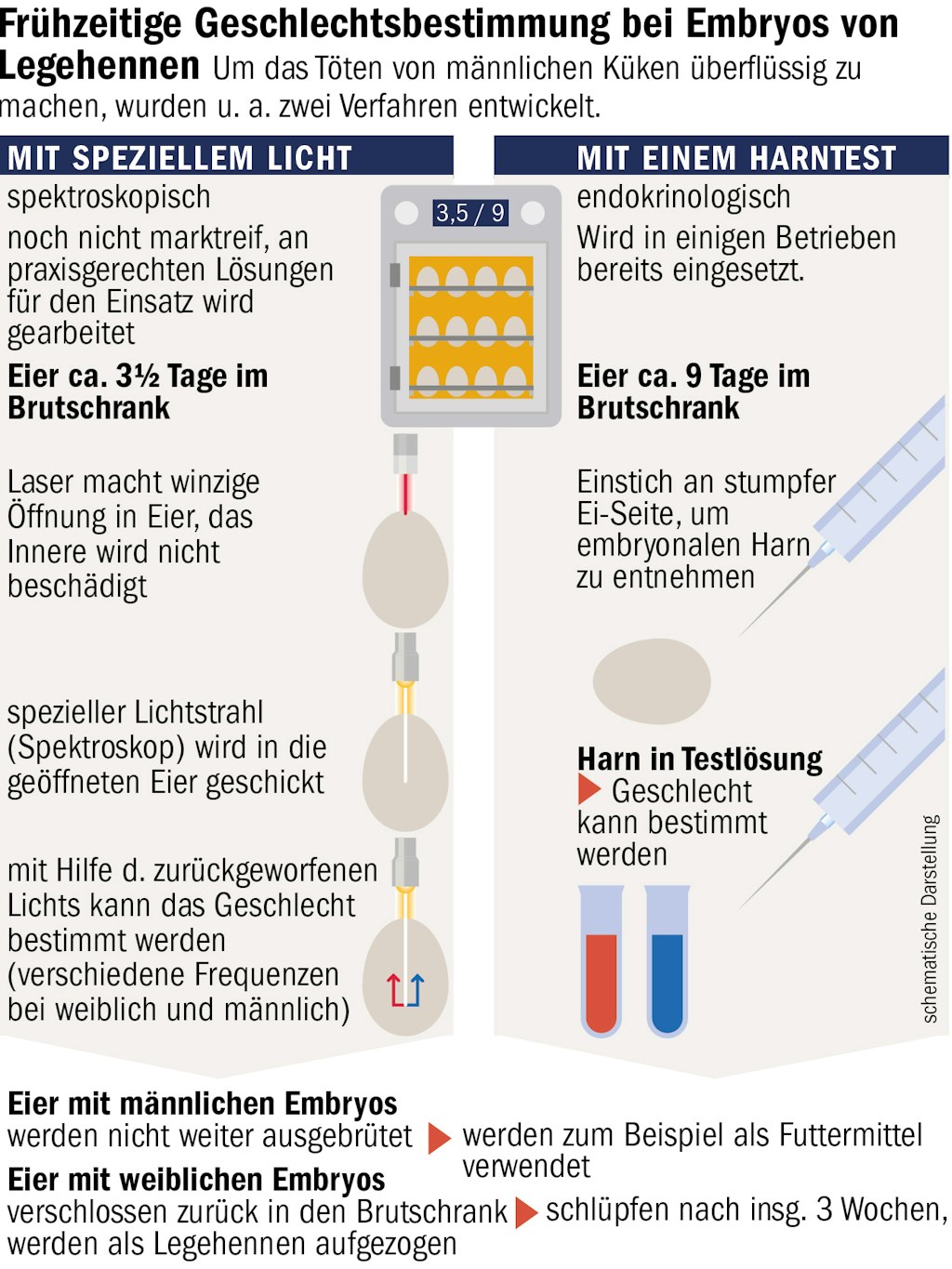 Berliner Verlag