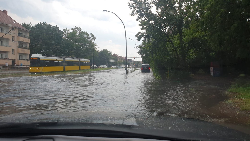 Die Straße Am Tierpark war am Sonntag teils völlig überflutet.