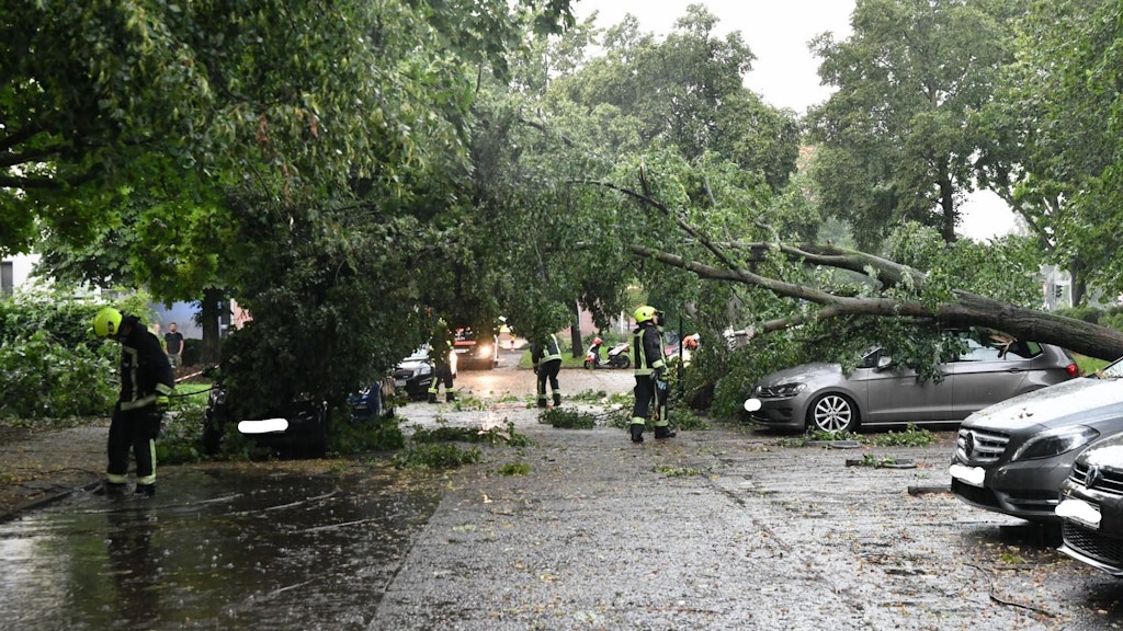 In der Sewanstraße in Lichtenberg begrub ein Baum mehrere Autos unter sich.