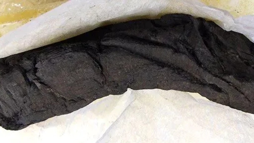 Brüchig wie Blätterteig: Eine verkohlte Papyrusrolle aus der Villa dei Papiri in Herculaneum.