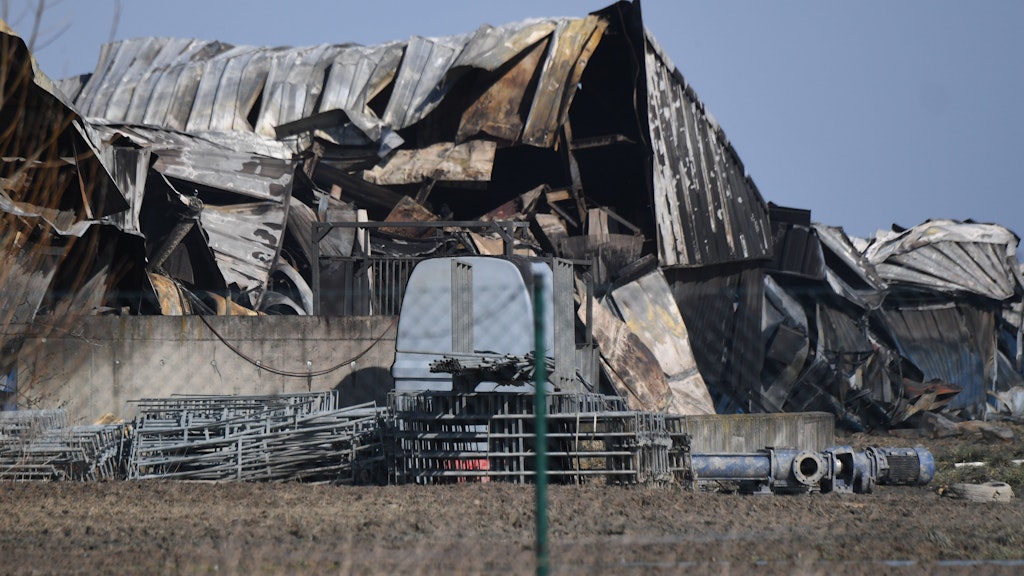 Die Dachkonstruktion eines Gebäudes eines Schweinemastbetriebes liegt nach dem Feuer in Trümmern.