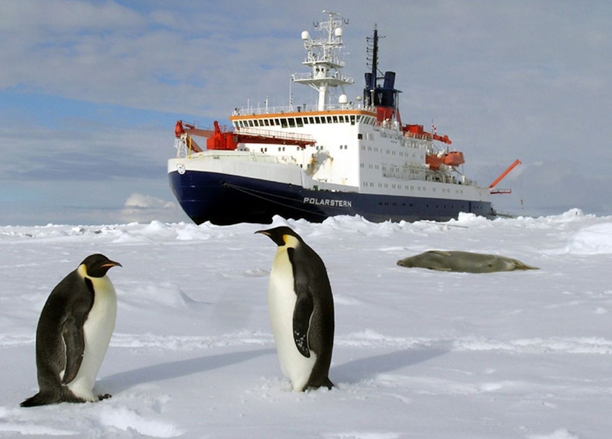 Researchers shocked: microplastics detected in Antarctic snow