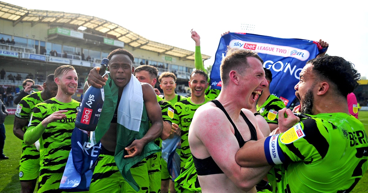 Ein veganer Fußballverein will ein Stadion komplett aus Holz bauen Ein veganer Fußballverein will ein Stadion komplett aus Holz bauen