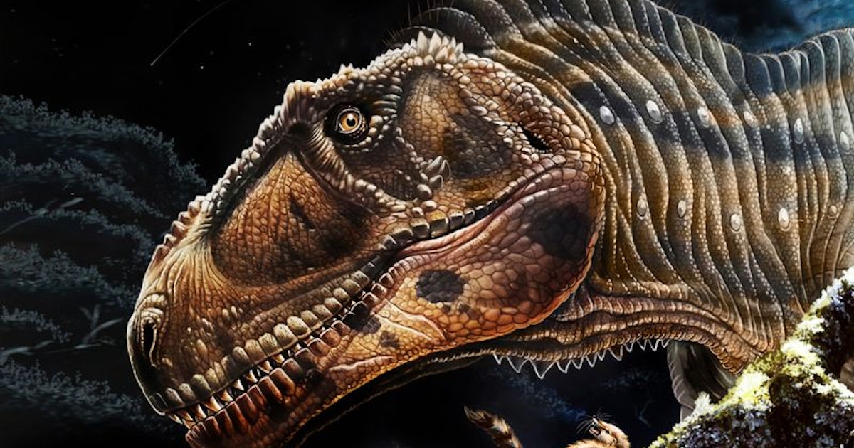 La T-Rex: Discover a huge dinosaur with tiny arms La T-Rex: Discover a huge dinosaur with tiny arms