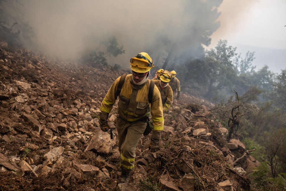 Varios incendios forestales provocan disturbios