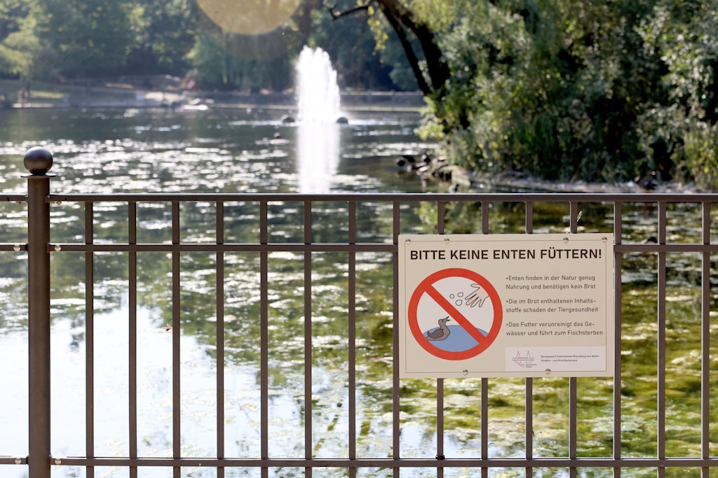 Waterfowl don't need any extra food - that's what the signs say