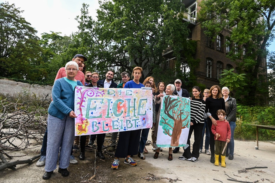 Baurecht bricht Baumrecht: Kann eine 200-jährige Berliner Eiche gerettet werden?