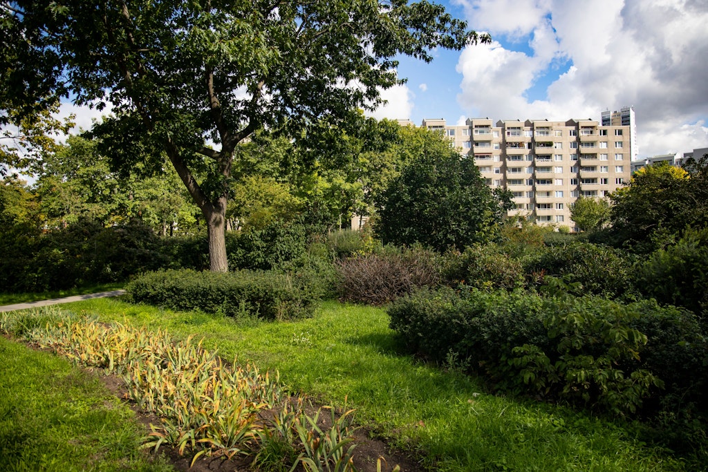 Hochhäuser am Rand vom Park am Vogelwäldchen.