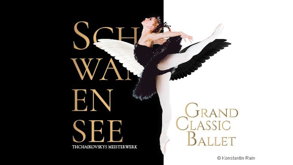 Schwanensee Ballett Berlin 2024 Weihnachten | Tickets!